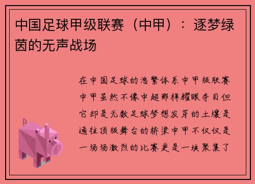 中国足球甲级联赛（中甲）：逐梦绿茵的无声战场