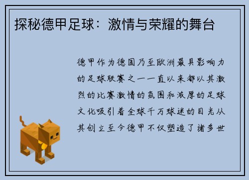 探秘德甲足球：激情与荣耀的舞台